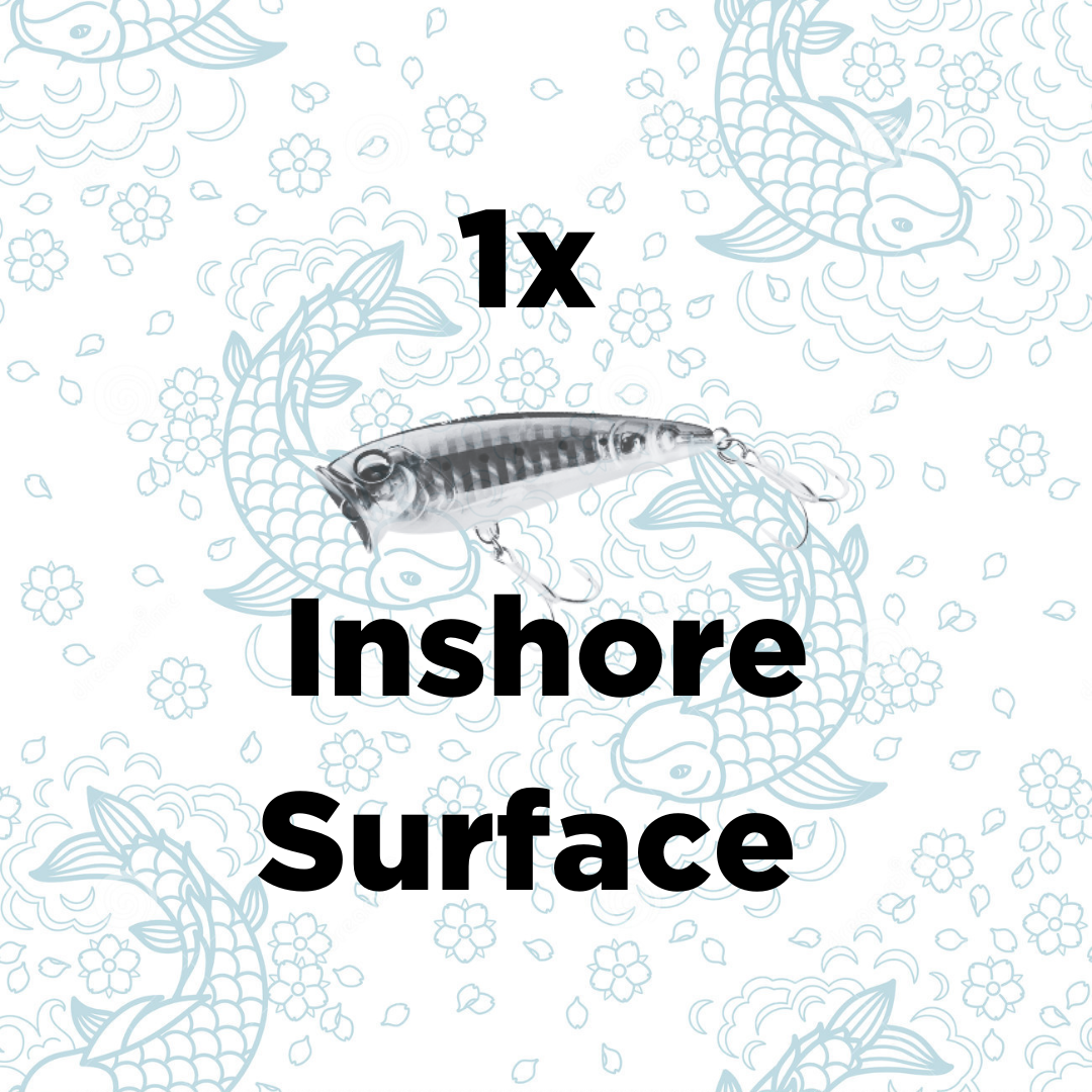 Our Premium Inshore Surface Fishing Lures